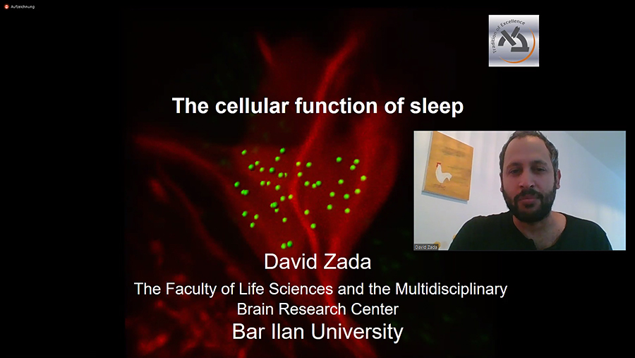 Link to 'EPNA 2020 Award ceremony at the online ERA-NET NEURON MidTerm Symposium JTC2018 in Bonn, Germany | January 26th, 2021'