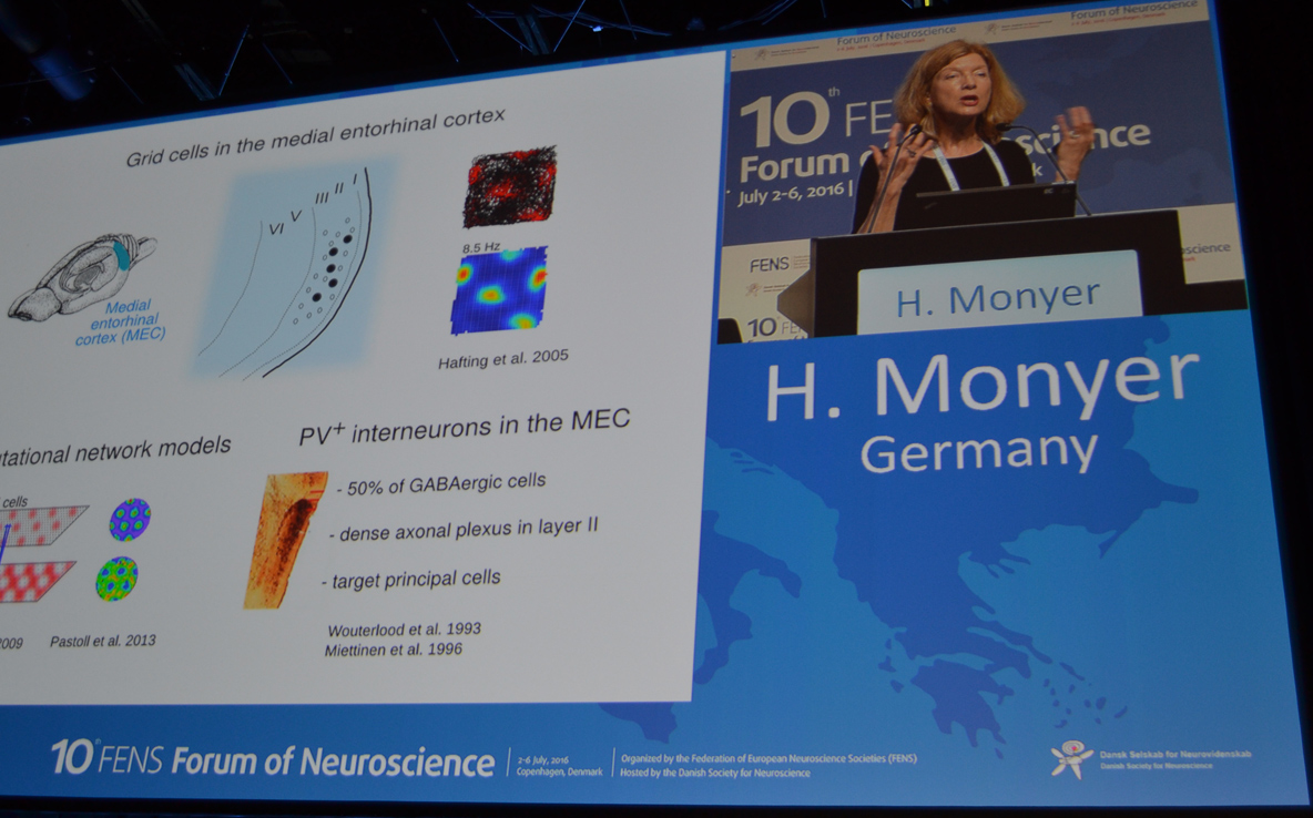 Professor Dr. Hannah Monyer at 10th FENS Forum