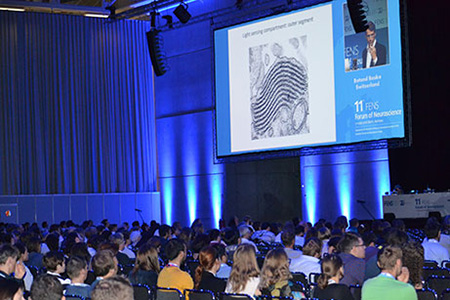 audience at FENS FOrum 2018