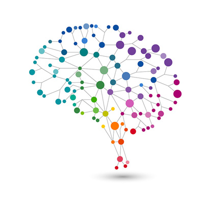 illustration of the human brain