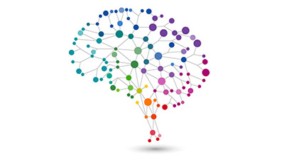 brain illustration