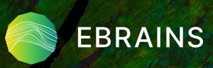 Logo EBRAINS