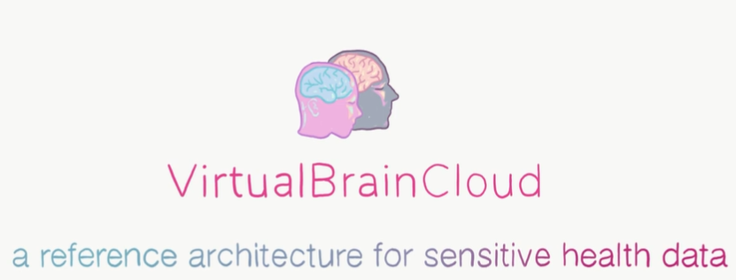 Logo Virtual Brain Cloud