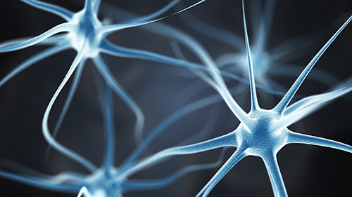 Link to 'Excellent Paper In Neuroscience - EPNA Award 2024: Biomedical call with a thematic focus on “Cerebrovascular Diseases”'