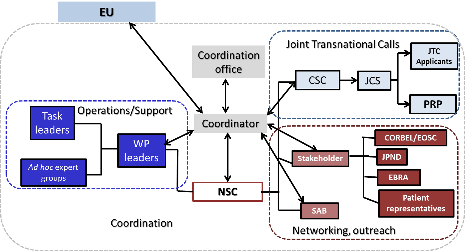 shows the structure and workflow of NEURON Cofund2 consortium